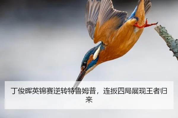 ding-jun-hui-ying-jin-sai-ni-zhuan-te-lu-mu-pu-lian-ban-si-ju-zhan-xian-wang-zhe-gui-lai-3-484.jpg